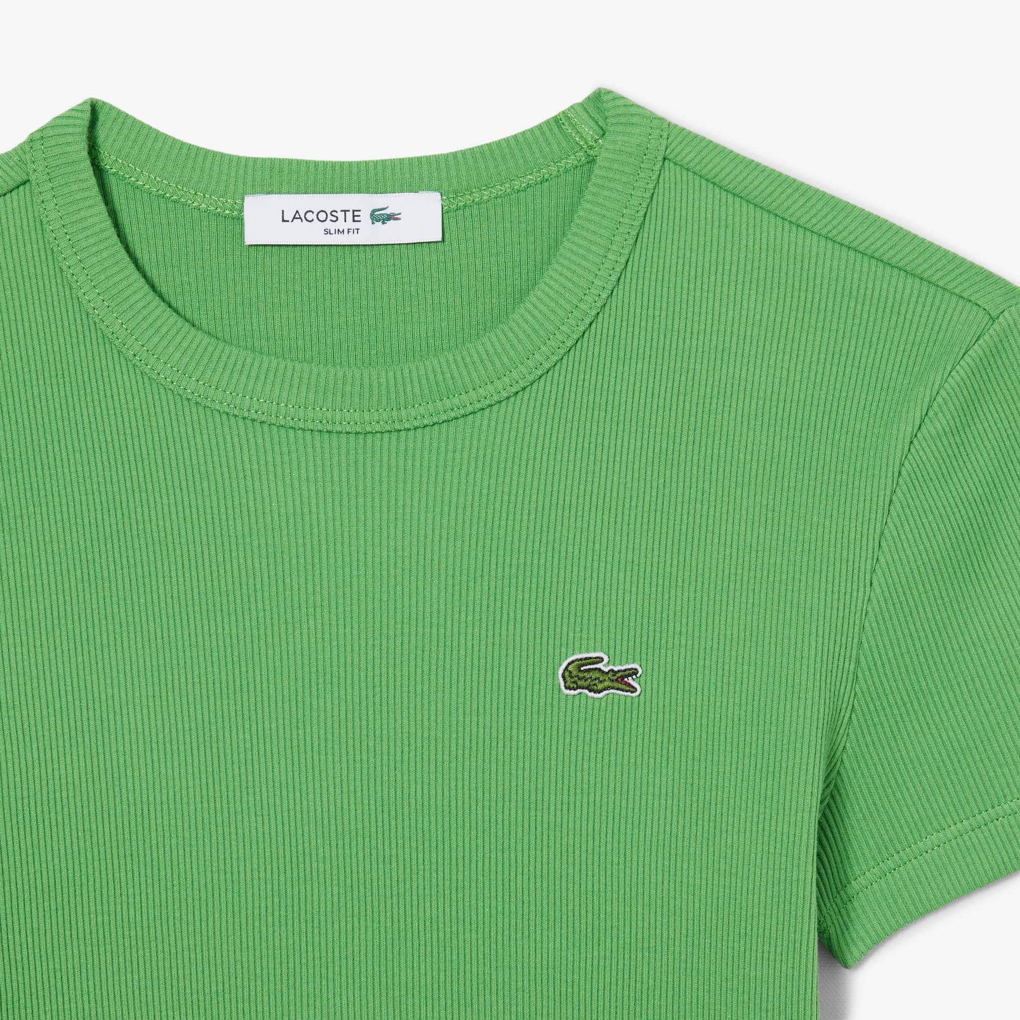 Women's Slim Fit Ribbed Cotton T-Shirt - Vert